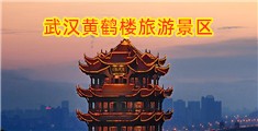 色逼插