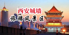 斗罗黄化人物免费观看大全中国陕西-西安城墙旅游风景区