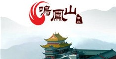 大骚逼操视频