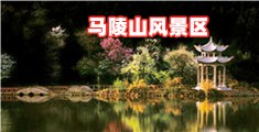 男女搞逼网站国产
